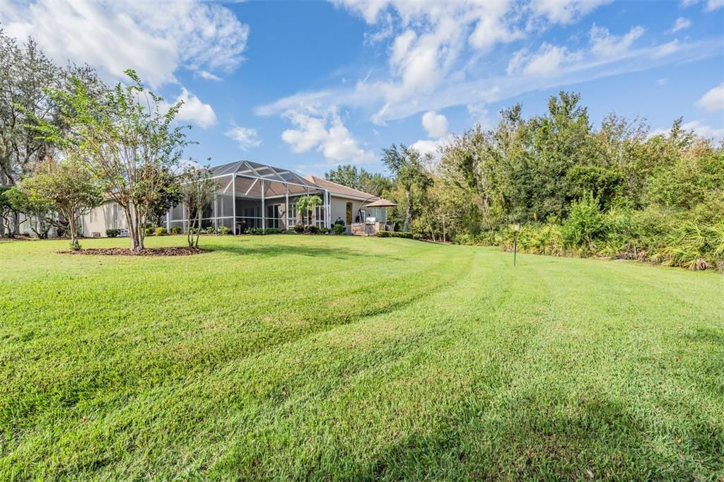 Huge Backyard on Conservation!