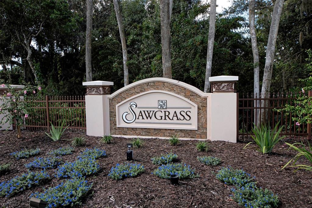 Special Sawgrass - Ideal location, quiet and tucked away, yet close to every convenience imaginable.  Low HOA fees and no CDD fee.