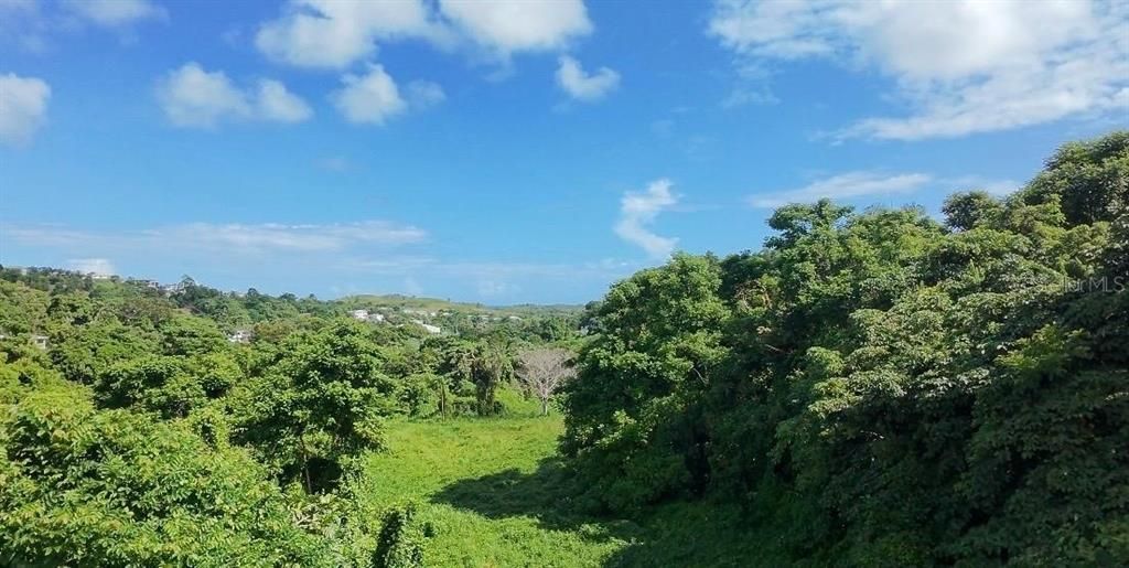 最近售出: $60,000 (9.70 acres)