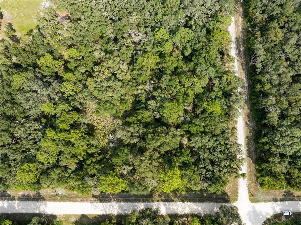 На продажу: $36,000 (1.10 acres)