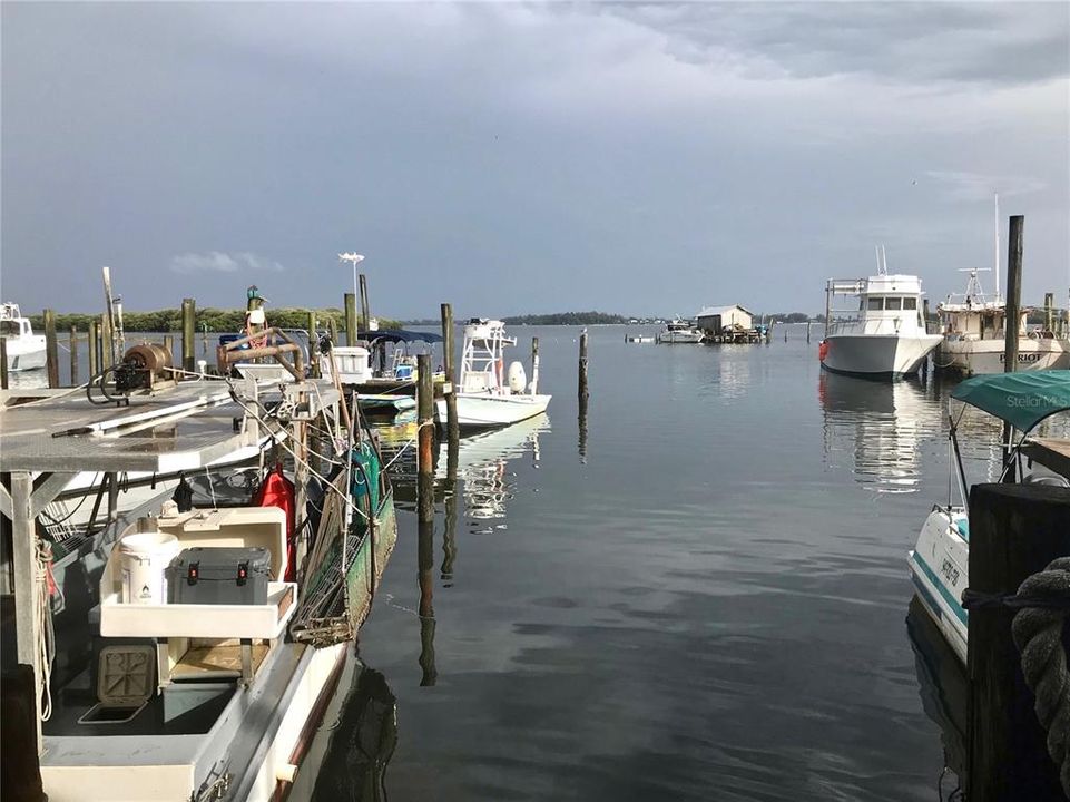 View from Star Fish restaurant -- 3 minutes away