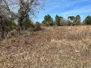 For Sale: $18,000 (0.34 acres)