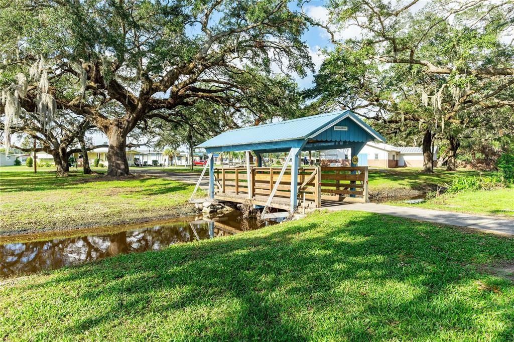 Many walking trails in this community.