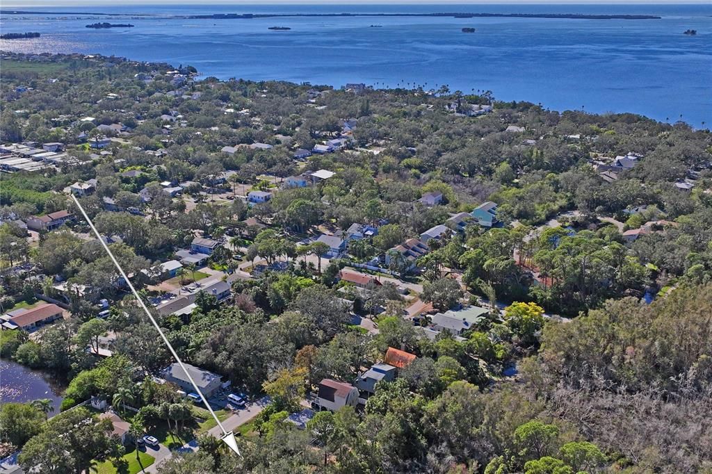 Nearby Honeymoon Island