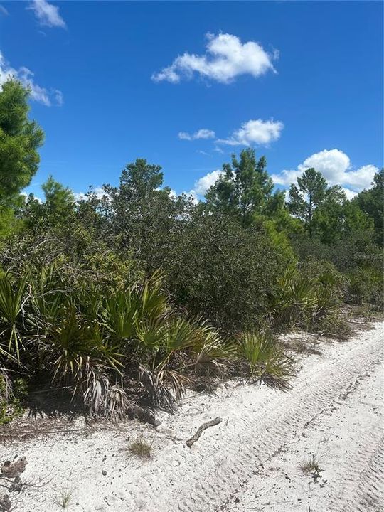 En Venta: $29,900 (0.23 acres)