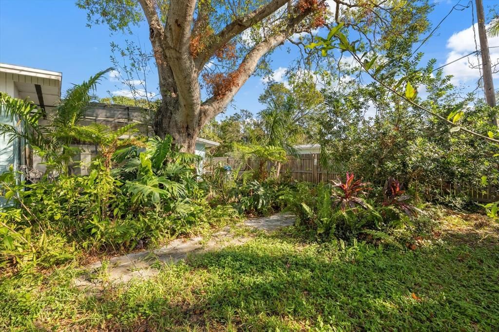 Lush back yard