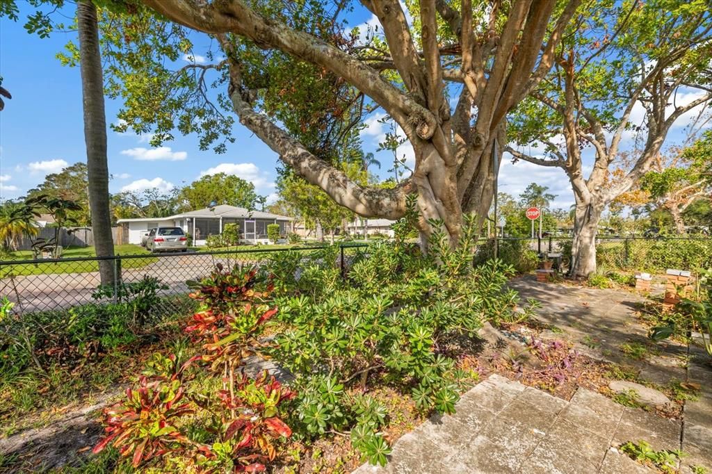 Mature landscaping and shade trees