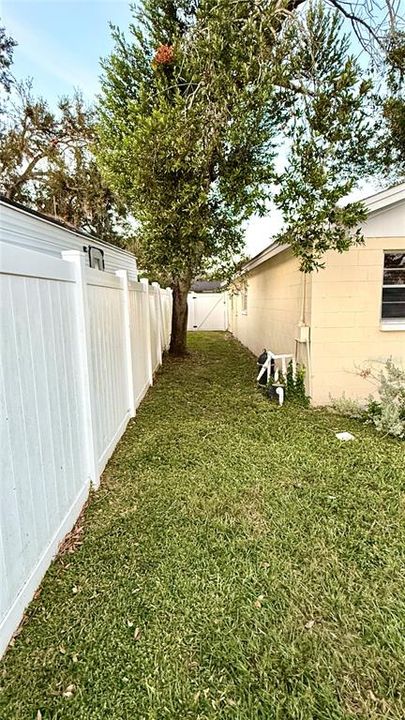 Left sideview of backyard