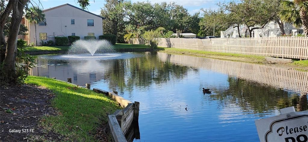 RELAXING POND