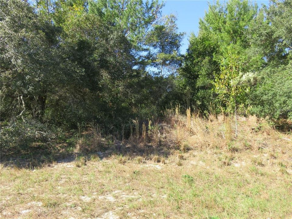 Activo con contrato: $52,000 (0.40 acres)