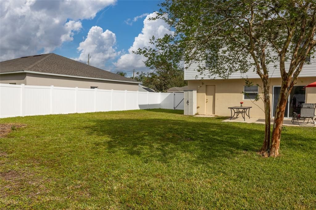 Gorgeous backyard