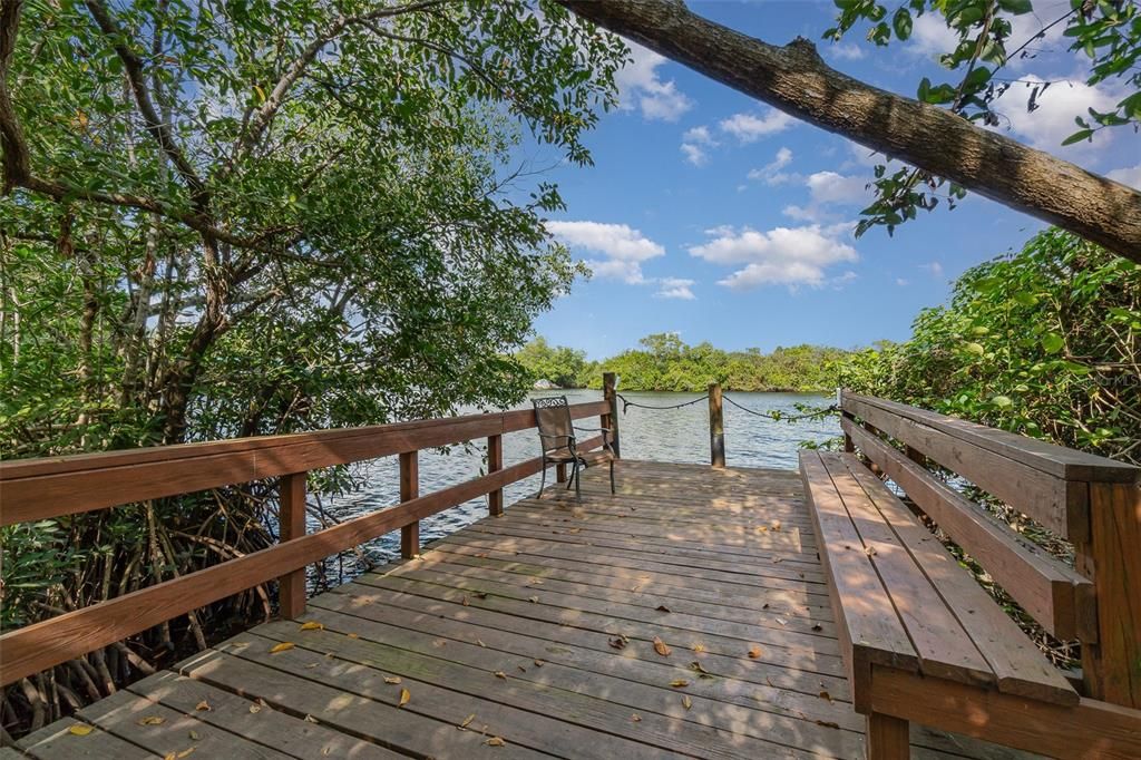 Community Dock and fishing area