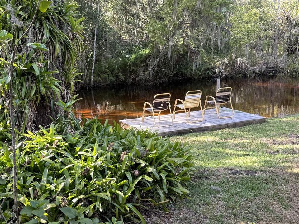 Back Yard and dock