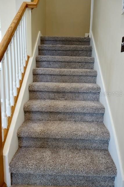 Brand new carpet on stairs