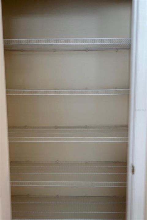 Large pantry with door