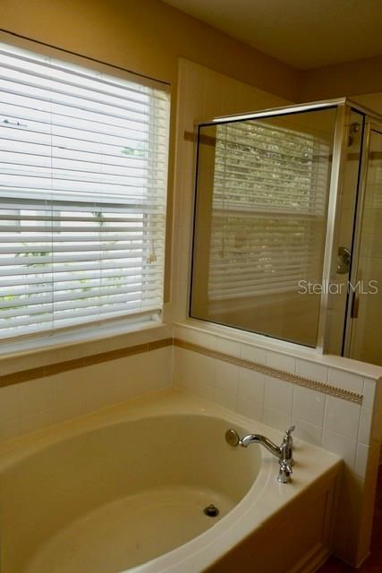 Garden tub w/window