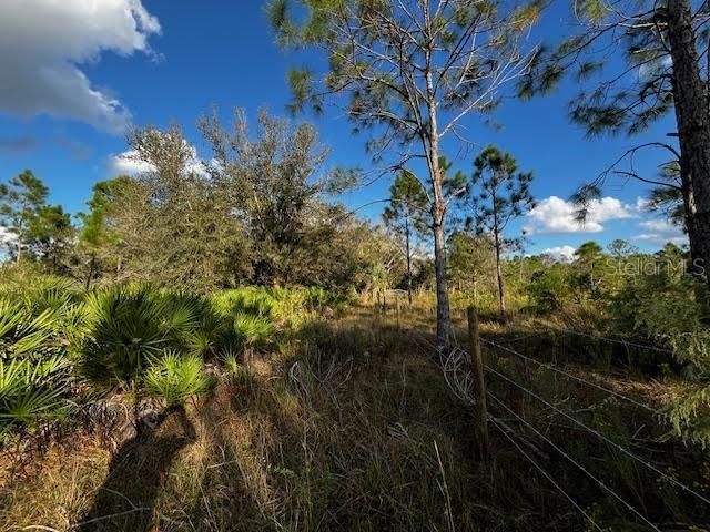 South boundary of property.  Neighbors fence line looking east.