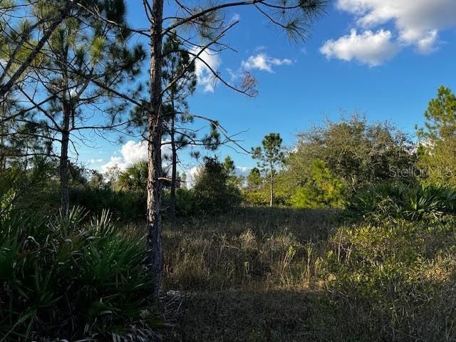 Interior where portions of the land open up with a great view in several directions.