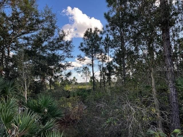 View to the south along the fire plow ditch which runs from the SE corner westward to the road front.