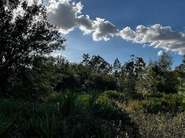 View north from east side of property.