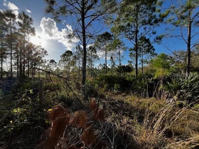 South boundary of property.  Neighbors fence line looking west.