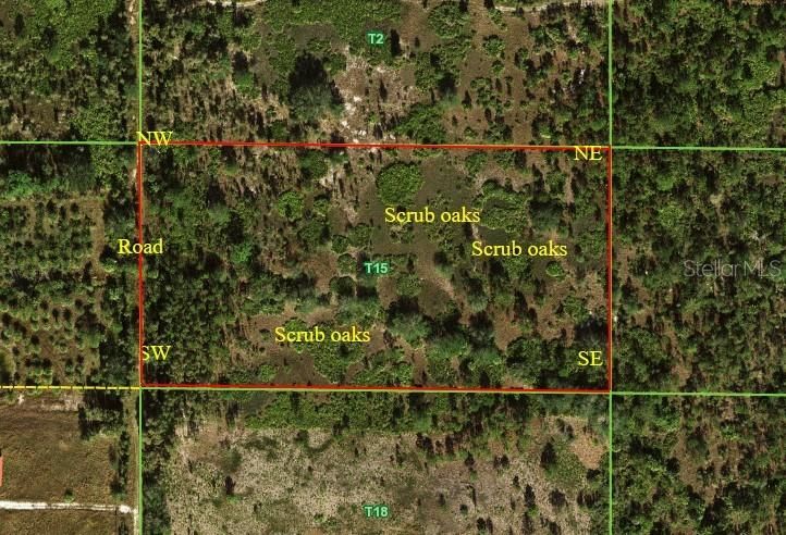 Aerial view showing cardinal directions.  Shrubby or Scrubby oaks can be seen as looking like a wetland.  These oaks provide acorns just like an oak tree for turkey, hog and deer.