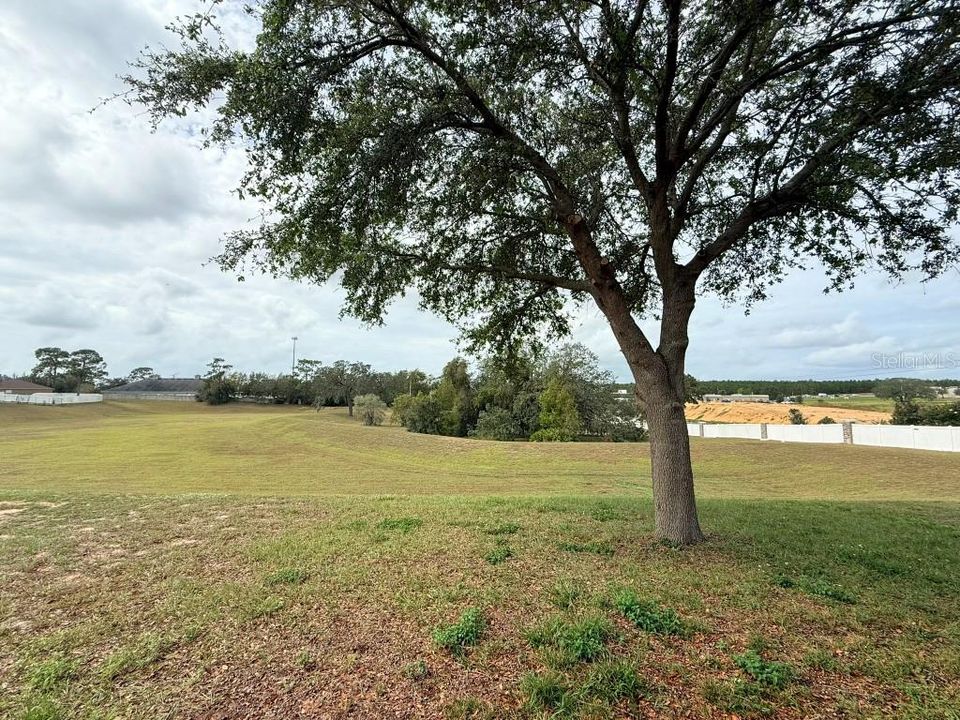 Rear of yard.