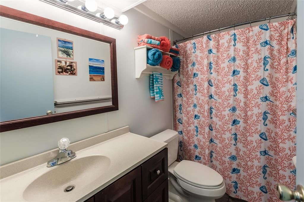 Guest Bathroom Shower / Tub Combo