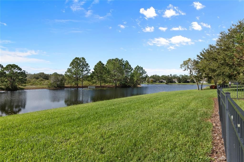 Pond & conservation area view behind home