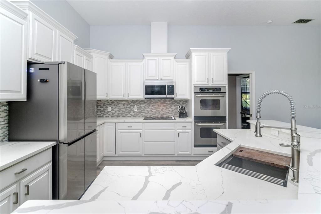 Newly renovated Kitchen with Quartz countertops