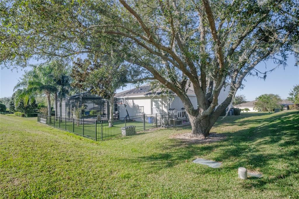 Rear of the property