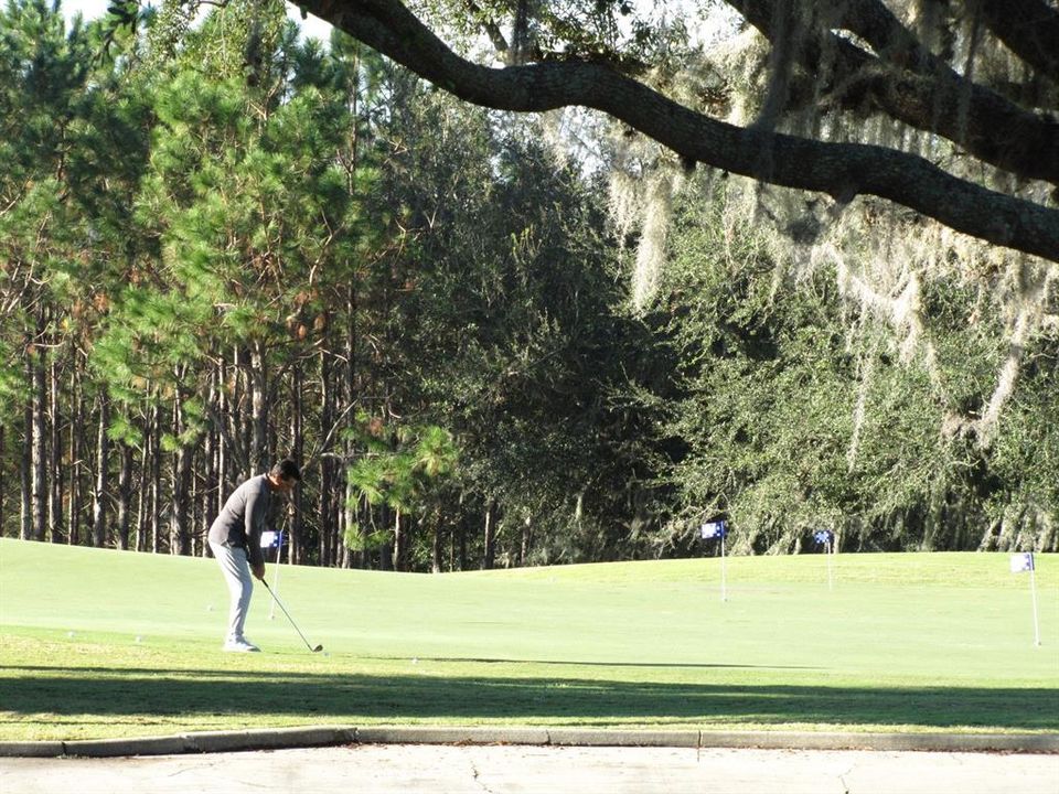 Legends Practice Chipping Green