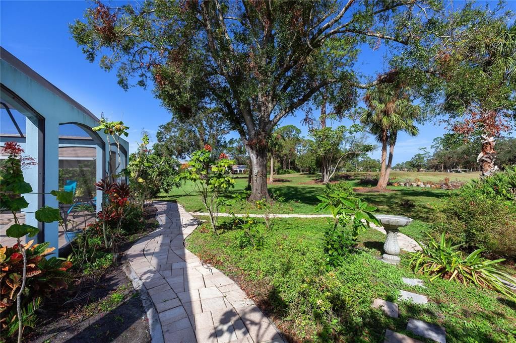 Native Florida Plant Garden