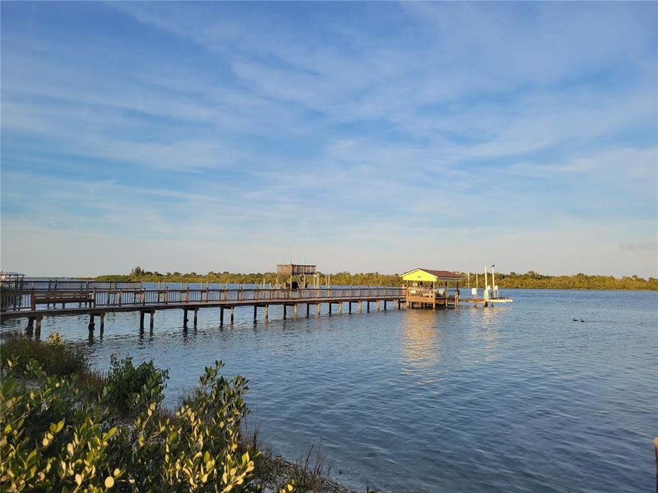 View from Property water front