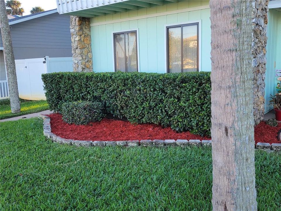 Front Hedge Bed 2