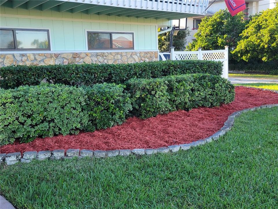 Front Hedge Bed