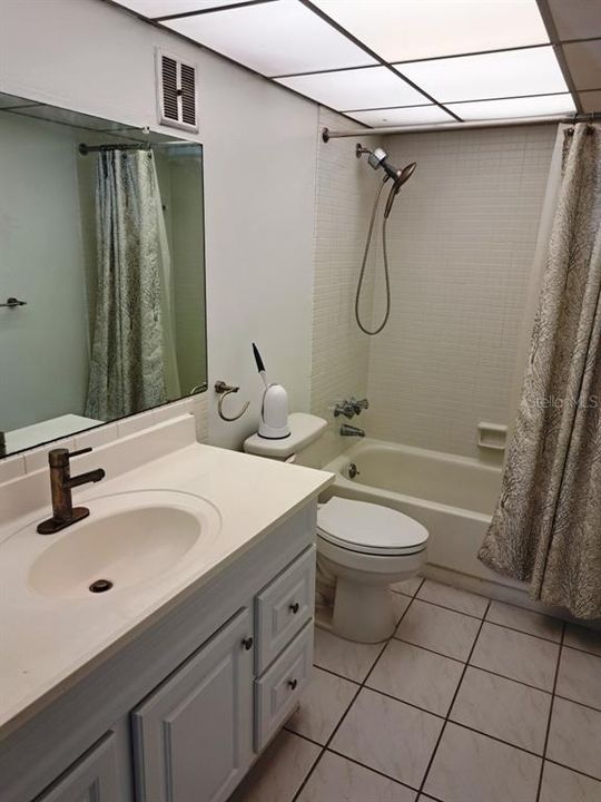 Guest Bath with Shower and Tub