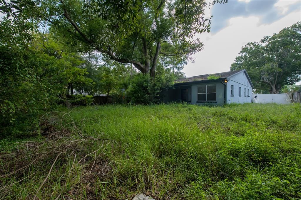 Large Backyard