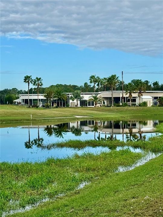 Pond on the golf course