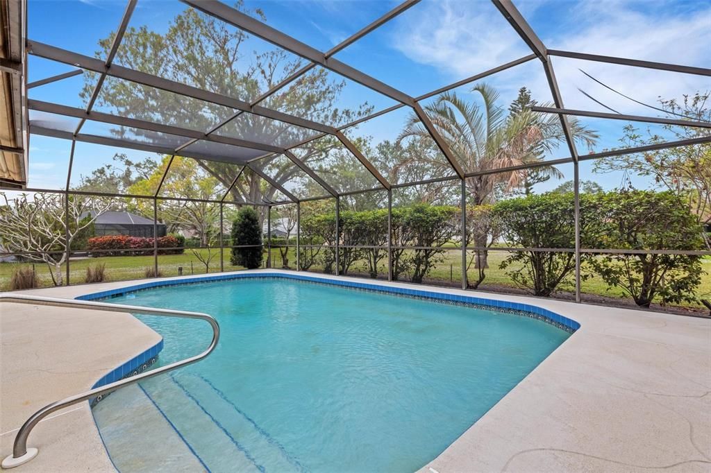 pool with view of mature landscape surrounding cage