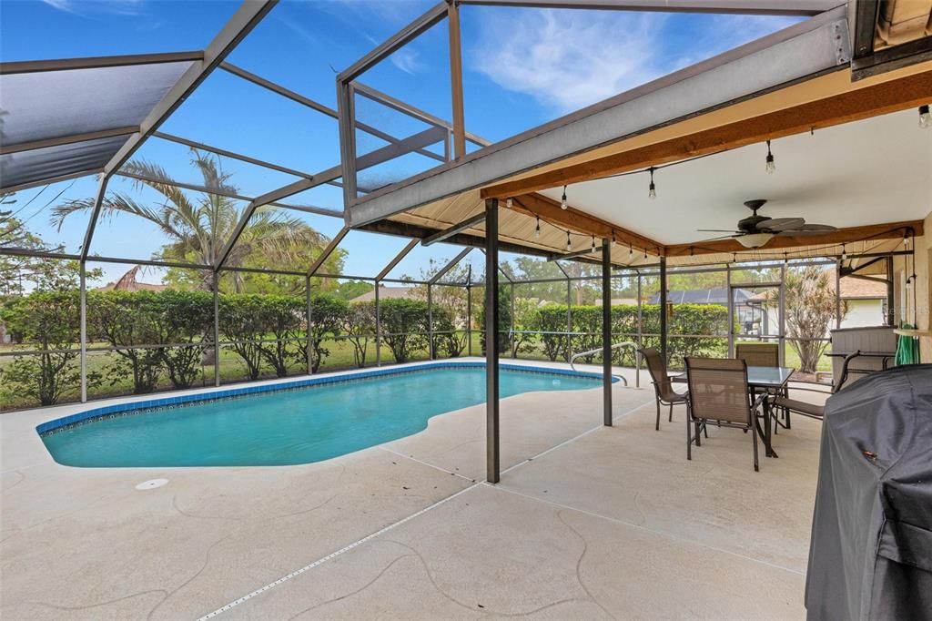 pool/patio screened cage