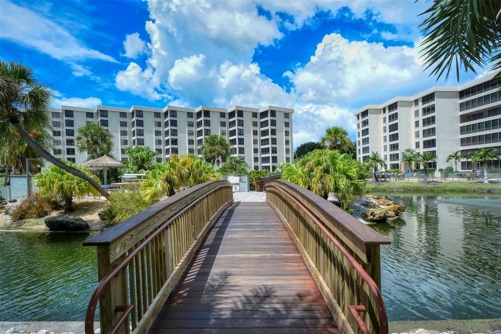 Walkway to Island