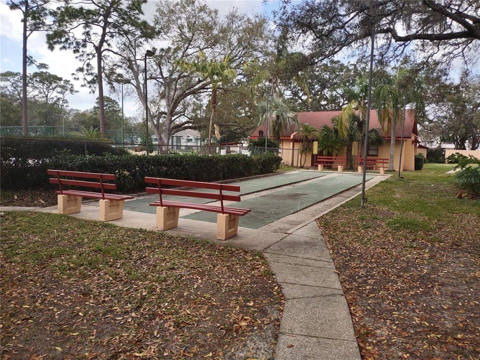 Community shuffleboard