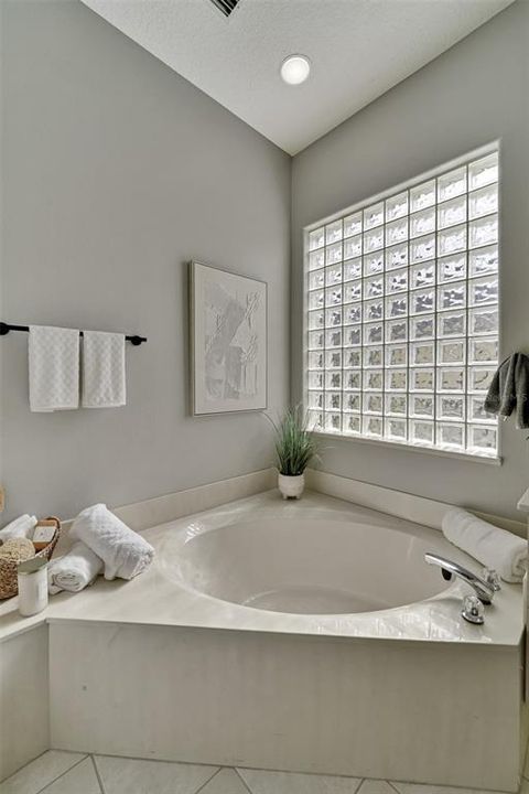 Master Tub