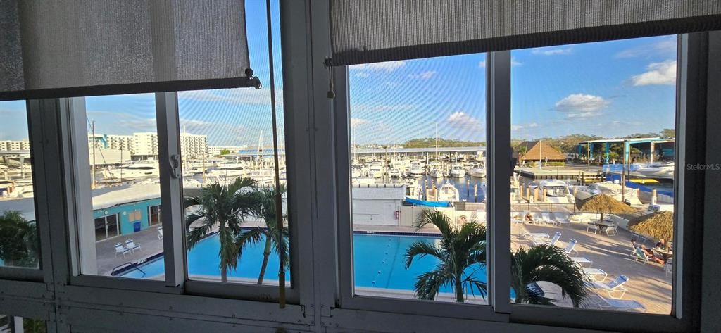 Florida Room view of pool & Maximo Marina.