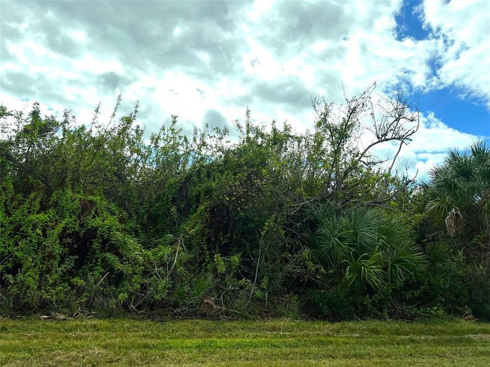 En Venta: $23,000 (0.23 acres)