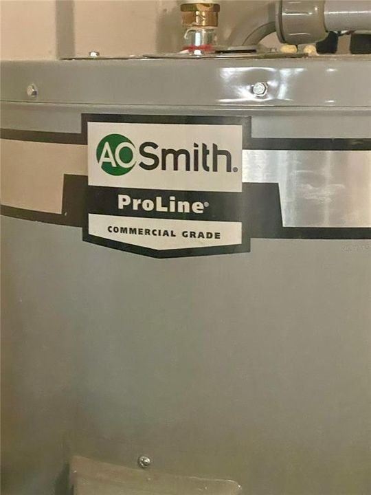 New electric AO Smith Hot Water heater