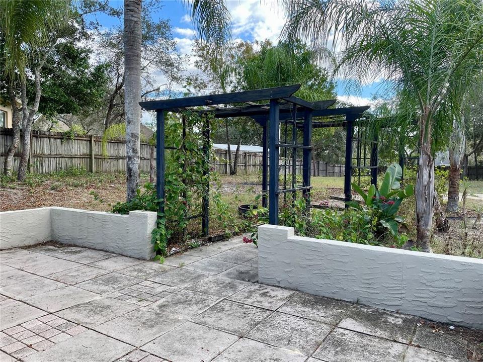 Patio and pergola