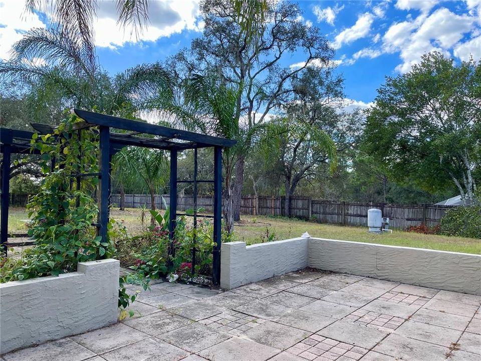 Patio and pergola