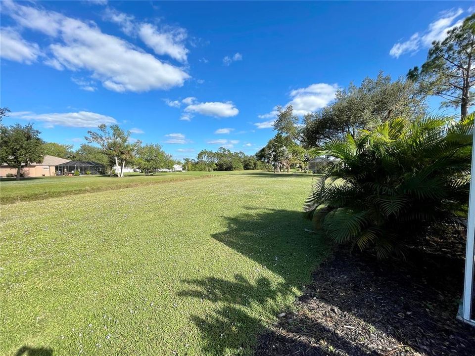 Side yard looking east